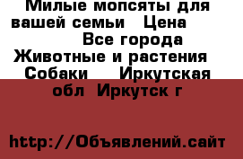 Милые мопсяты для вашей семьи › Цена ­ 20 000 - Все города Животные и растения » Собаки   . Иркутская обл.,Иркутск г.